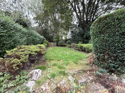 Picture 25